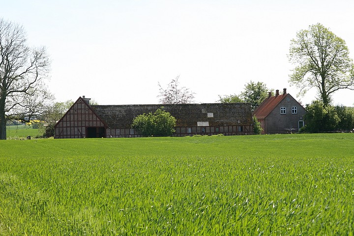Nølev Hougaard